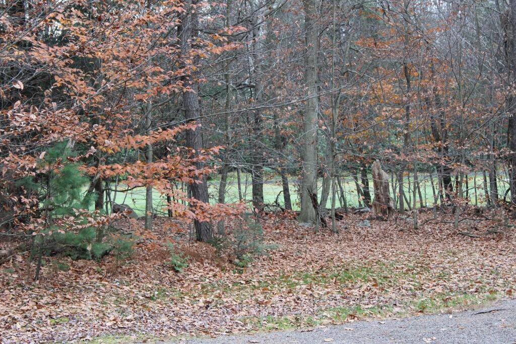 Luxury 4 Bedroom House In Pocono Mountains In Golf Course Near Lake Tobyhanna Dış mekan fotoğraf